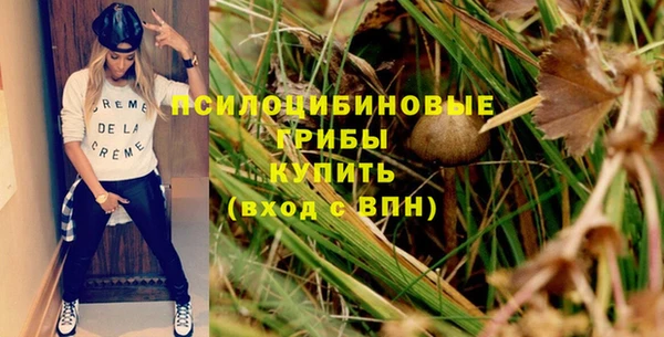 не бодяженный Новодвинск