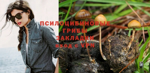 не бодяженный Новодвинск