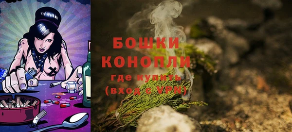 не бодяженный Новодвинск