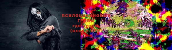 не бодяженный Новодвинск
